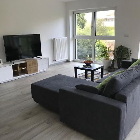 Ferienwohnung „Frosch“ Neukirchen-Balbini Exteriör bild